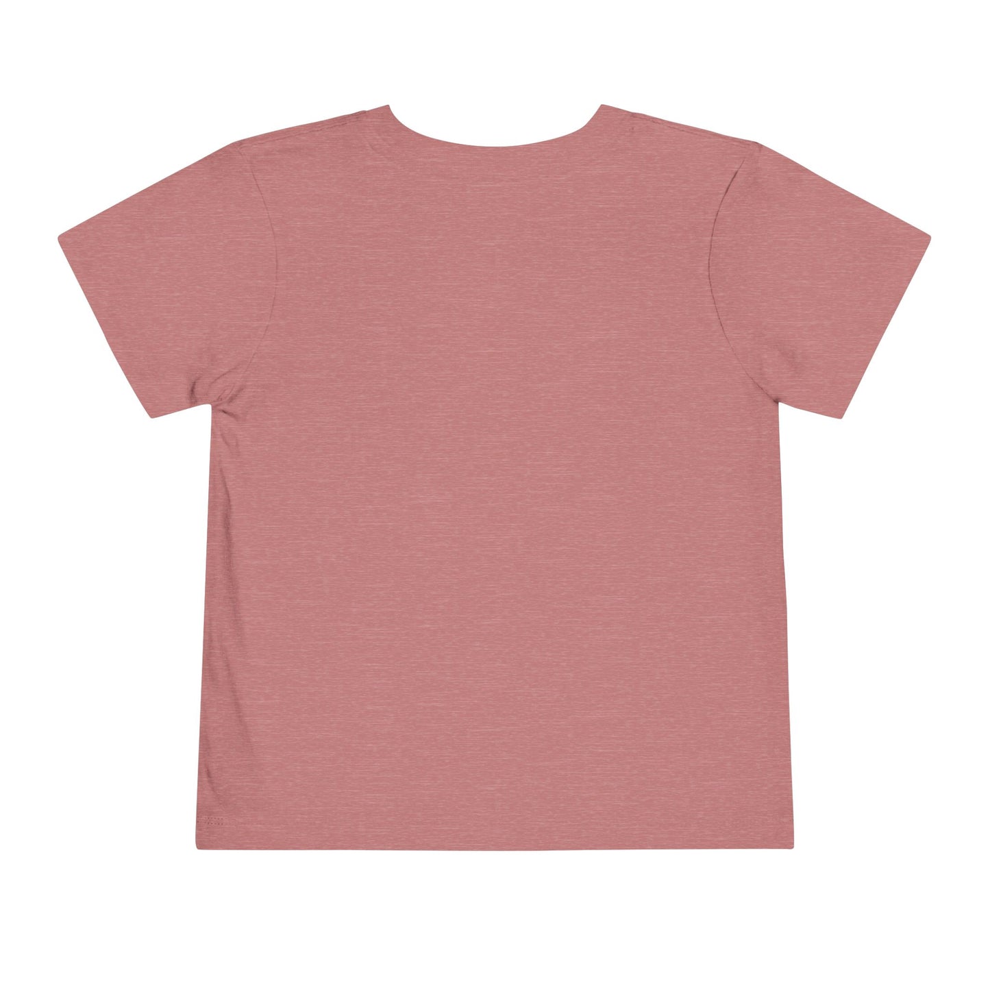 Toddler Tee — "This Shirt Cost $10,000"