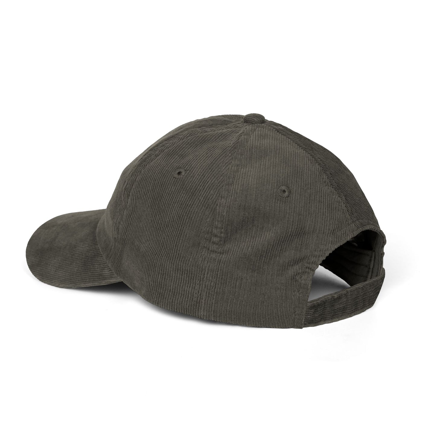Dark gray cap on a white background