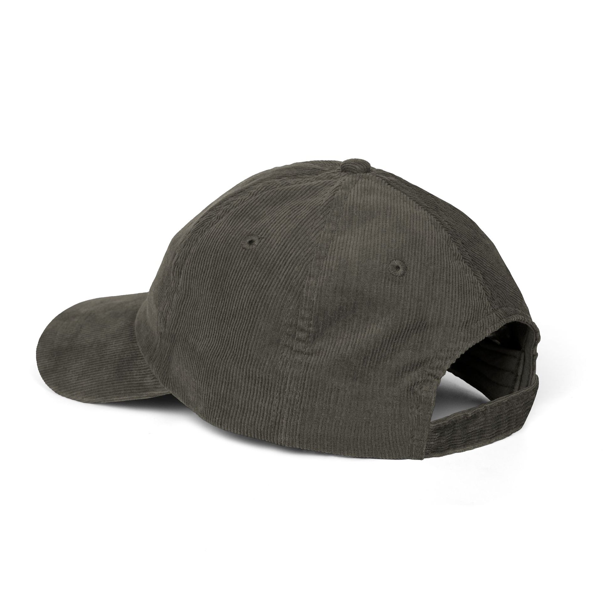Dark gray cap on a white background